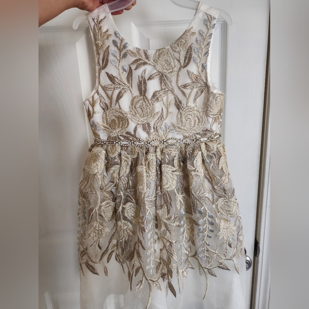 American princess party girls dress.